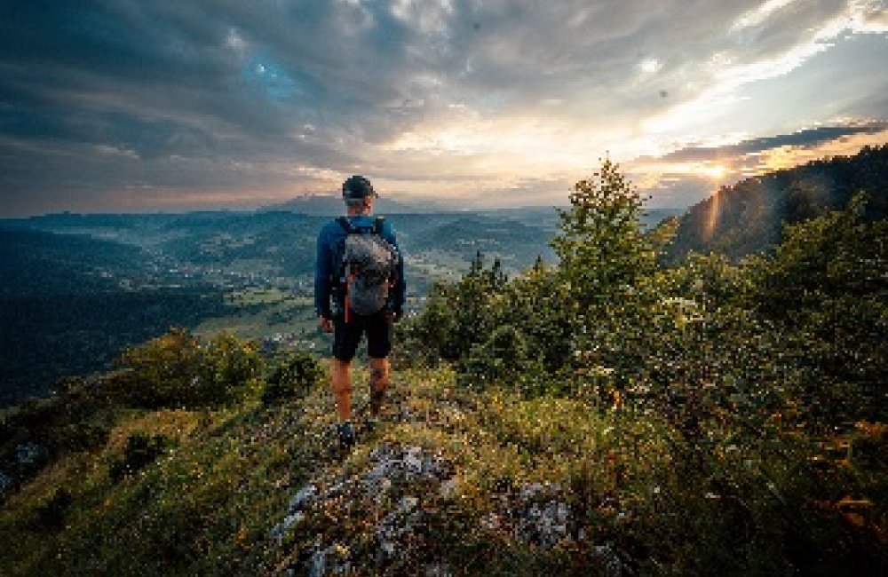 Domáca úroda: VIA SLOVAKIA (FK)